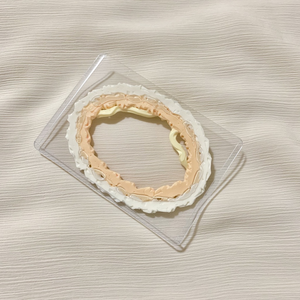 【B8】硬質カードケースホイップデコ【20】orange x yellow