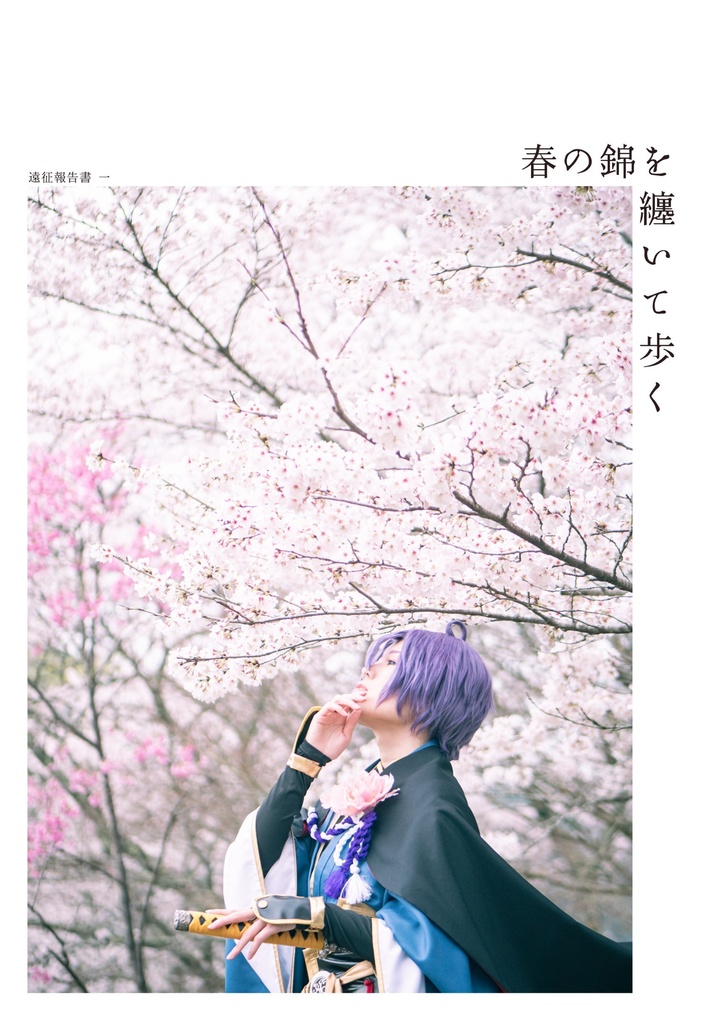 歌仙兼定 写真集 『遠征報告書 一』