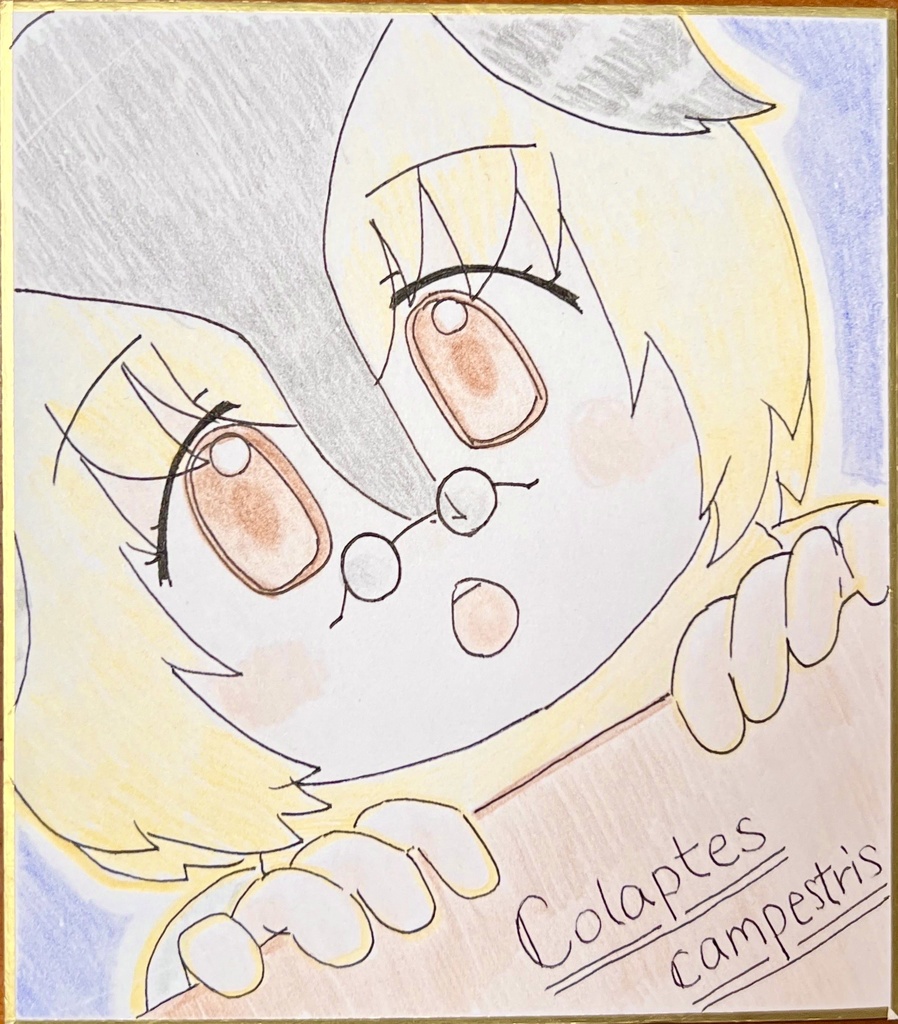 アリツカゲラ　けものフレンズ色紙