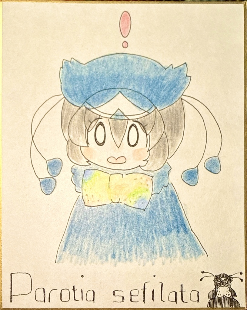 カンザシフウチョウ　けものフレンズ色紙