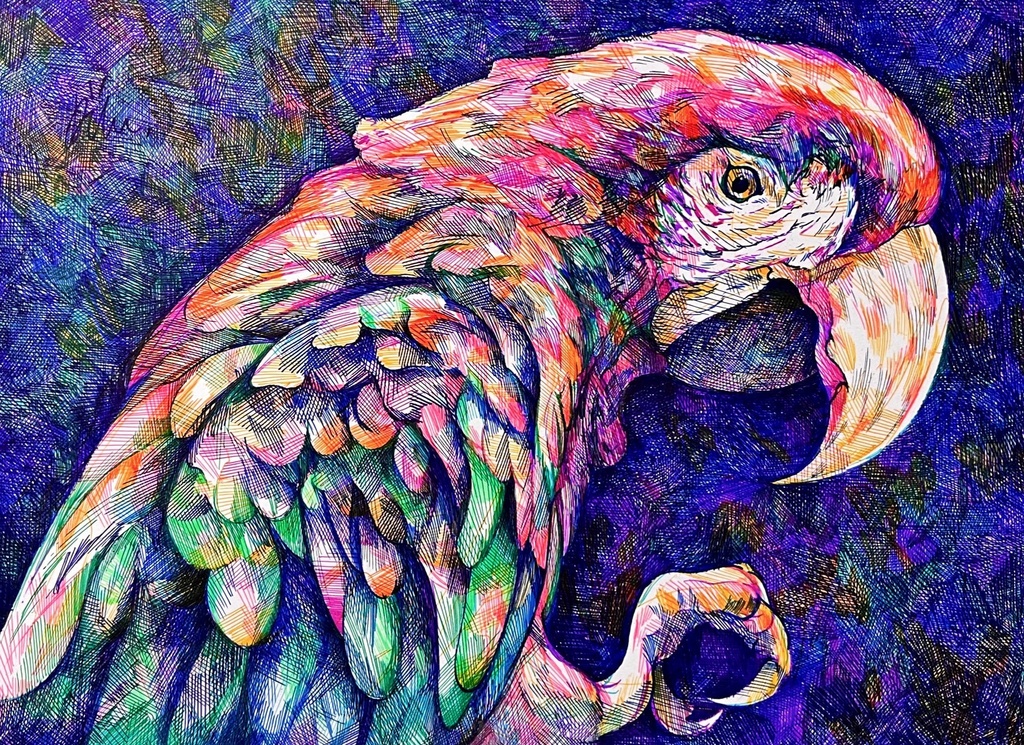 【原画】｢Parrot｣
