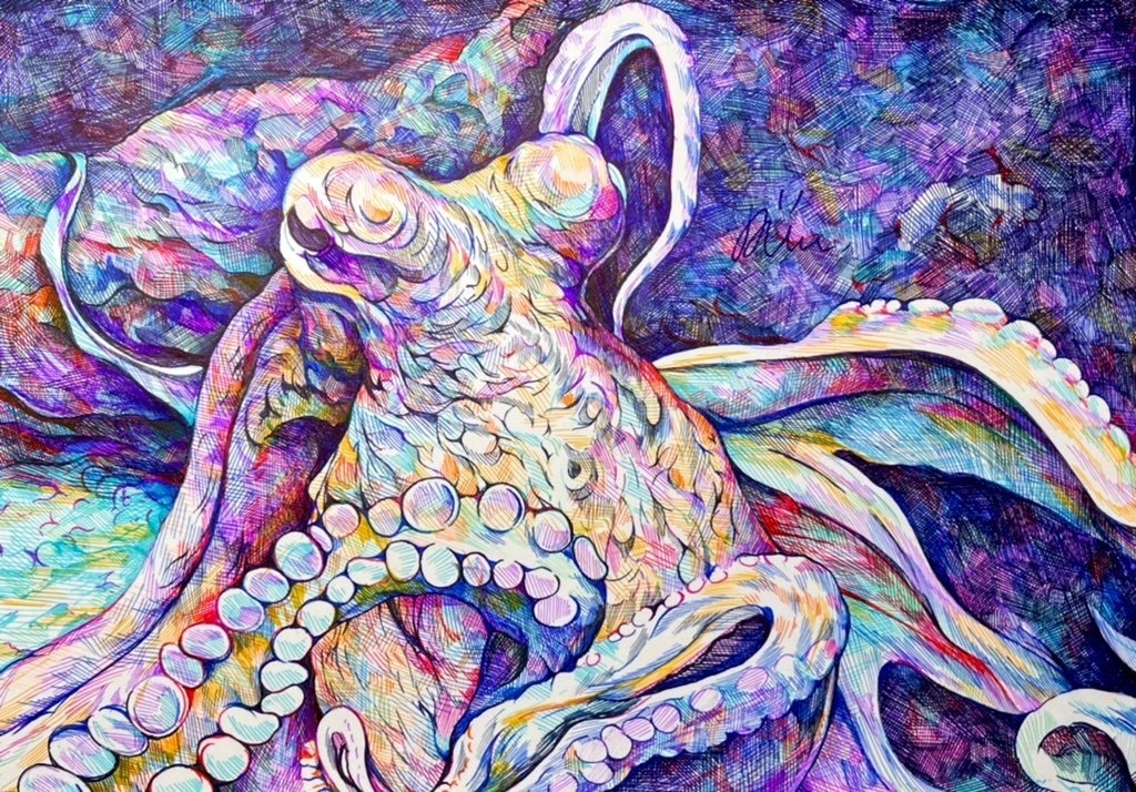 【原画】「Octopus」