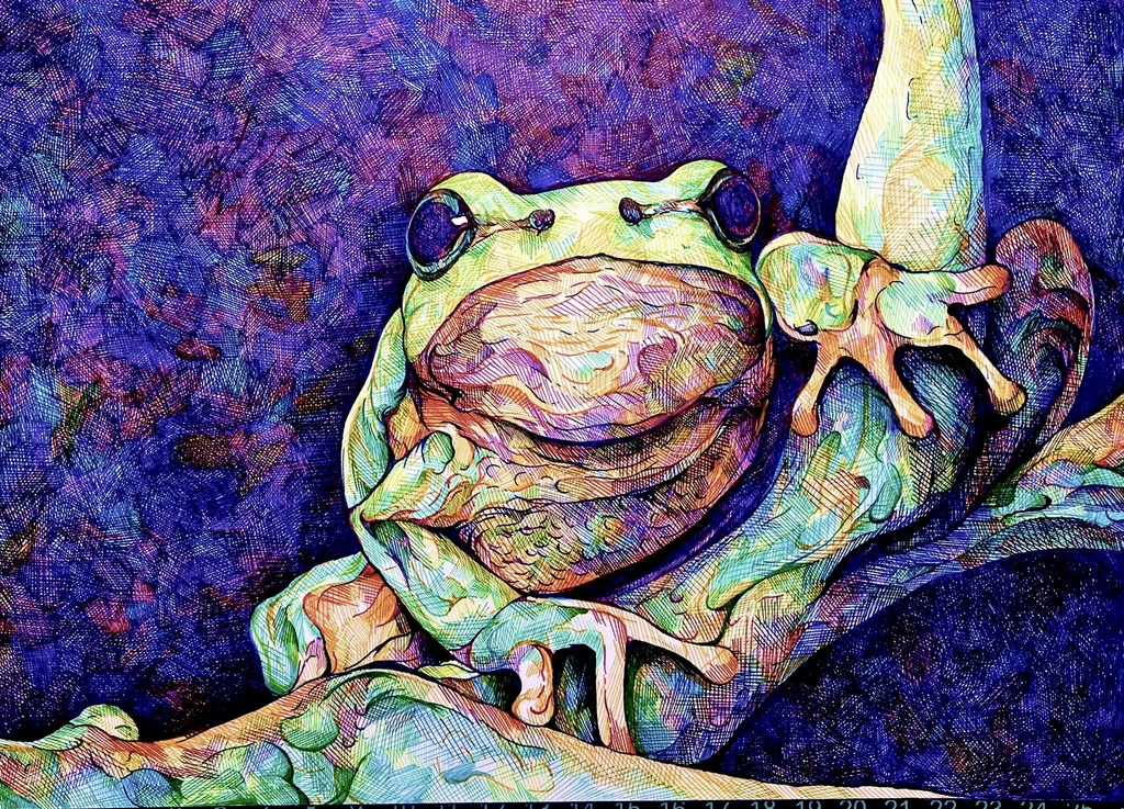 【原画】「Frog」