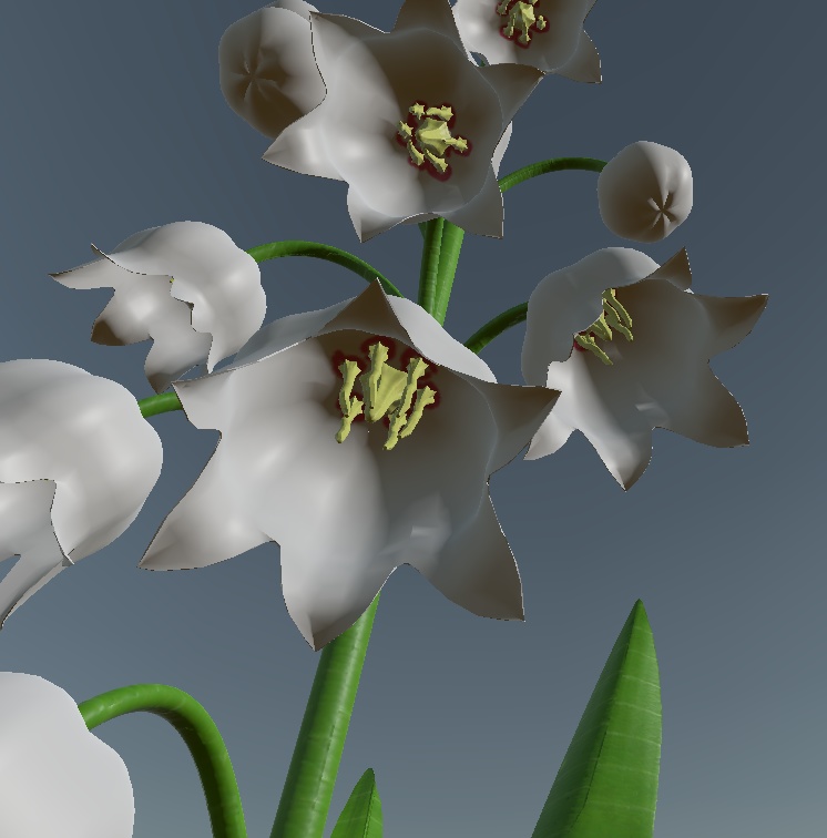 すずらん 3dモデル