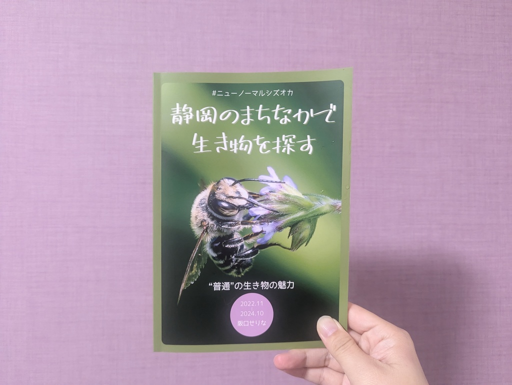 静岡のまちなかで生き物を探す