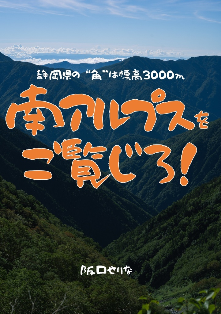 南アルプスをご覧じろ！