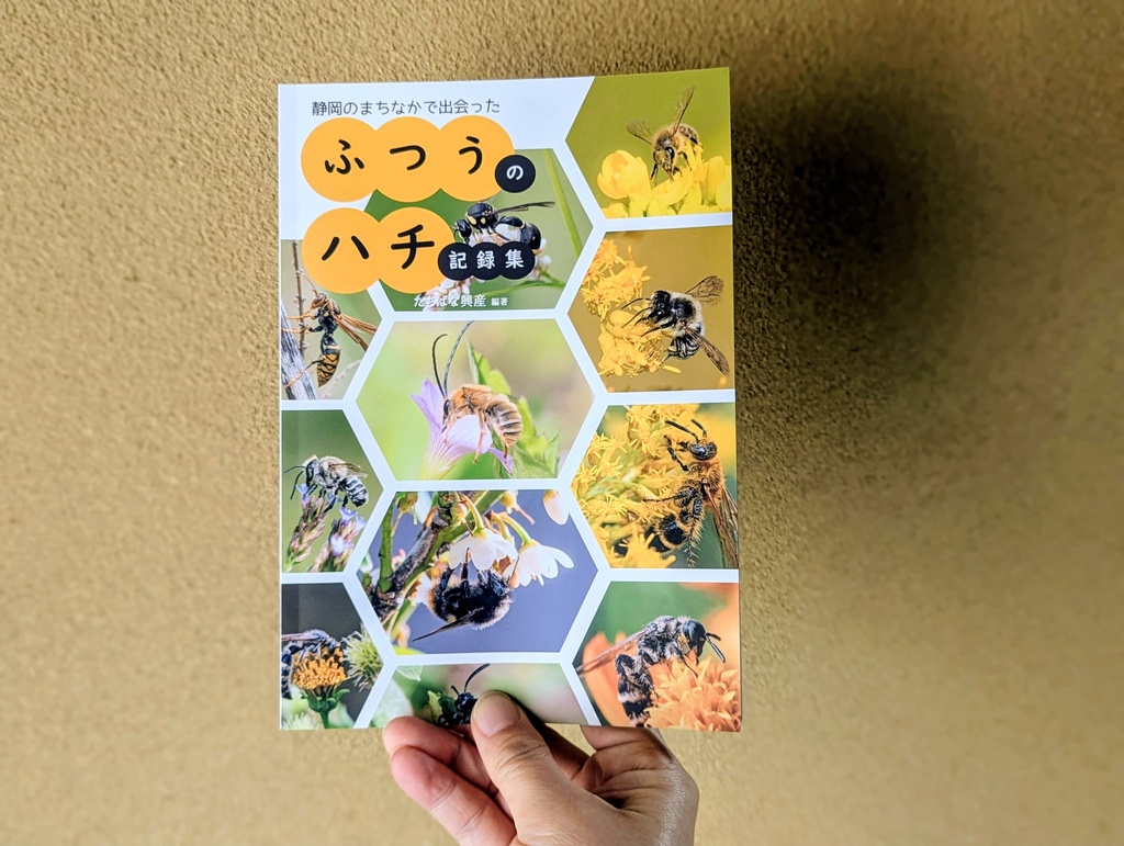 ふつうのハチ記録集