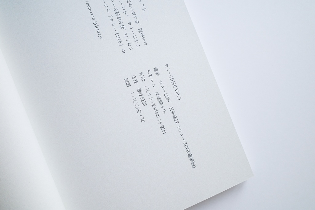 カレーZINE vol.3「カレーと遊び」