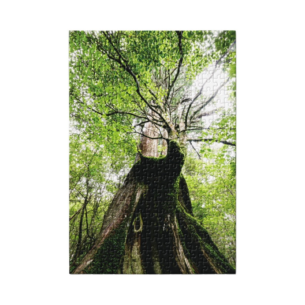 フォトパズル 写真集「工石山の森」 全5種類
