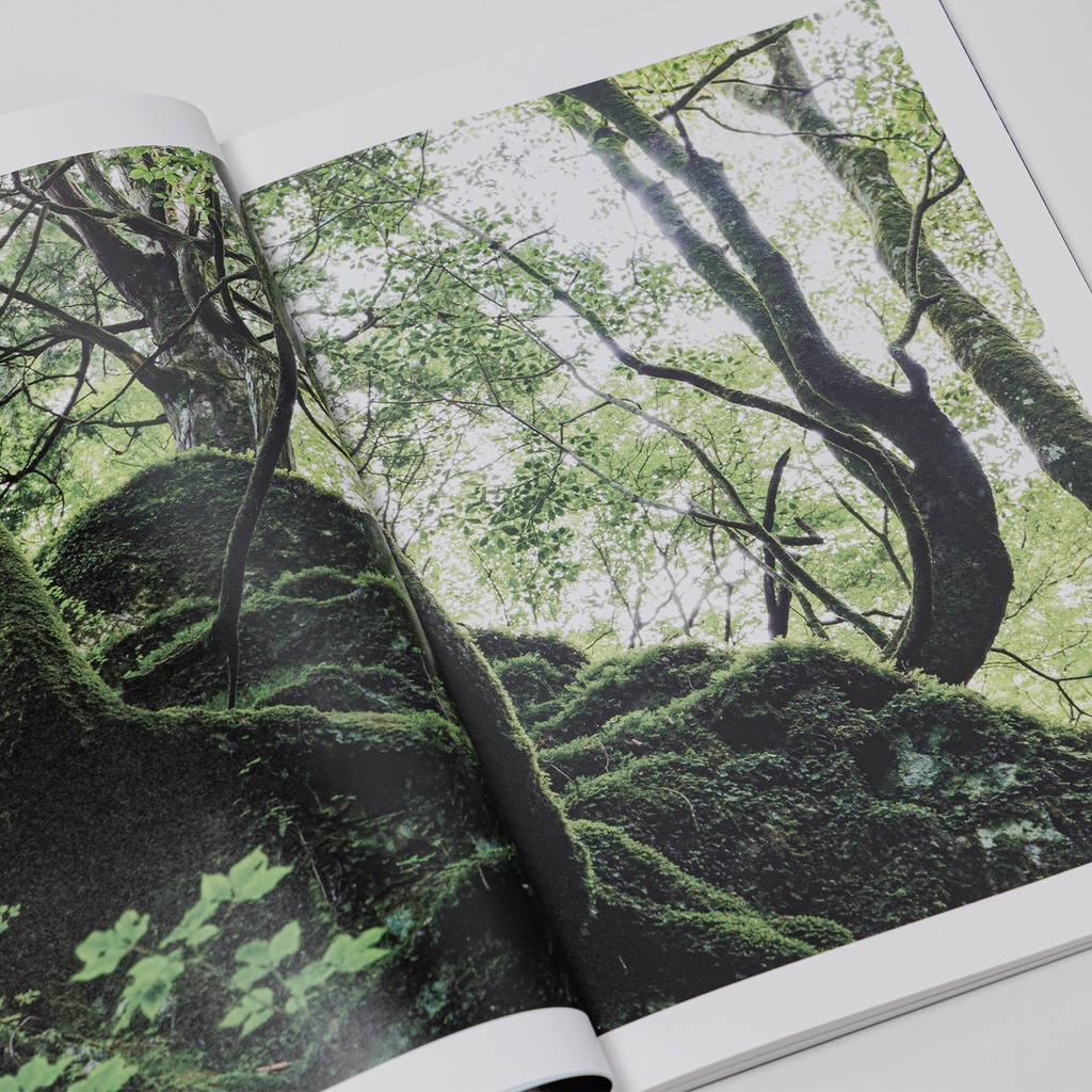写真集「into the forest : kuishi」