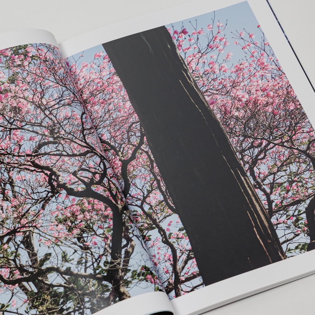写真集「into the forest : kuishi」