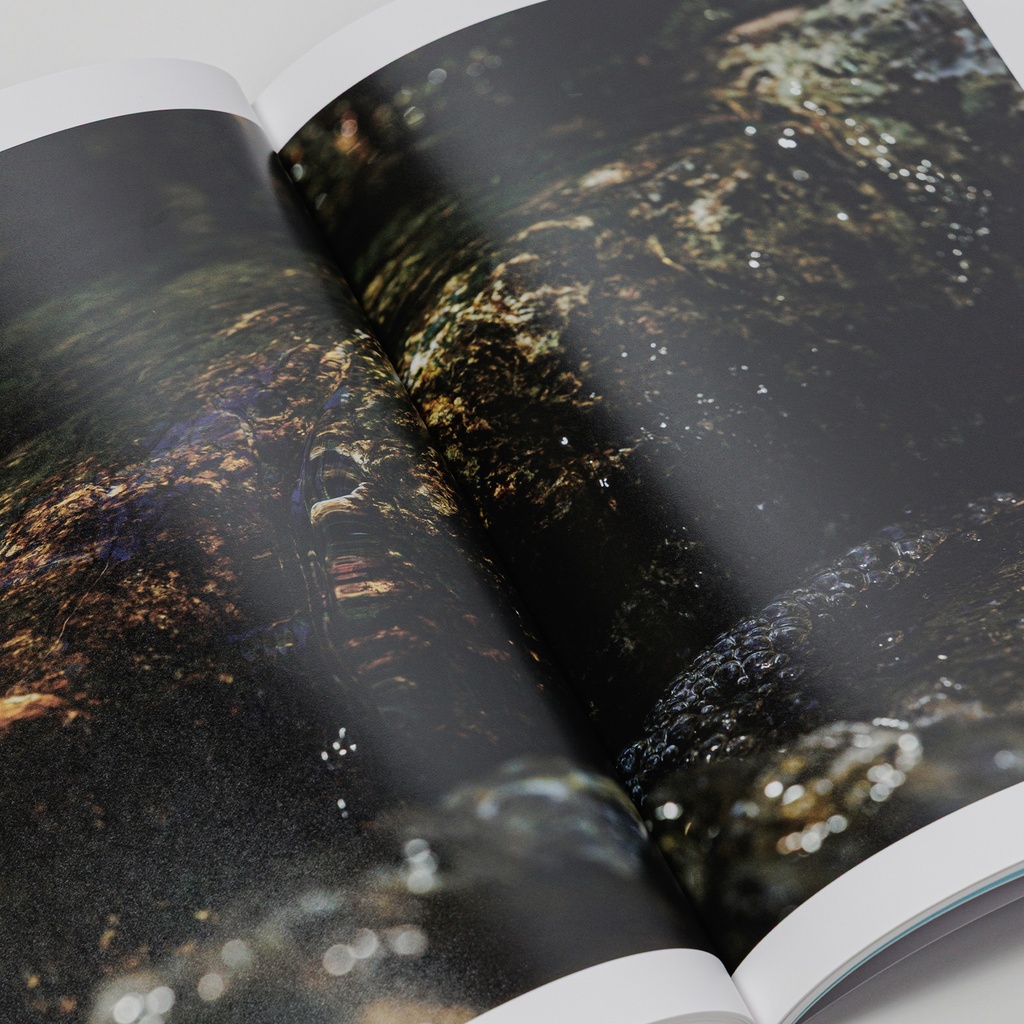 写真集「into the forest : kuishi」
