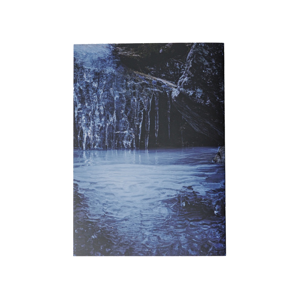 写真集「into the forest : kuishi」