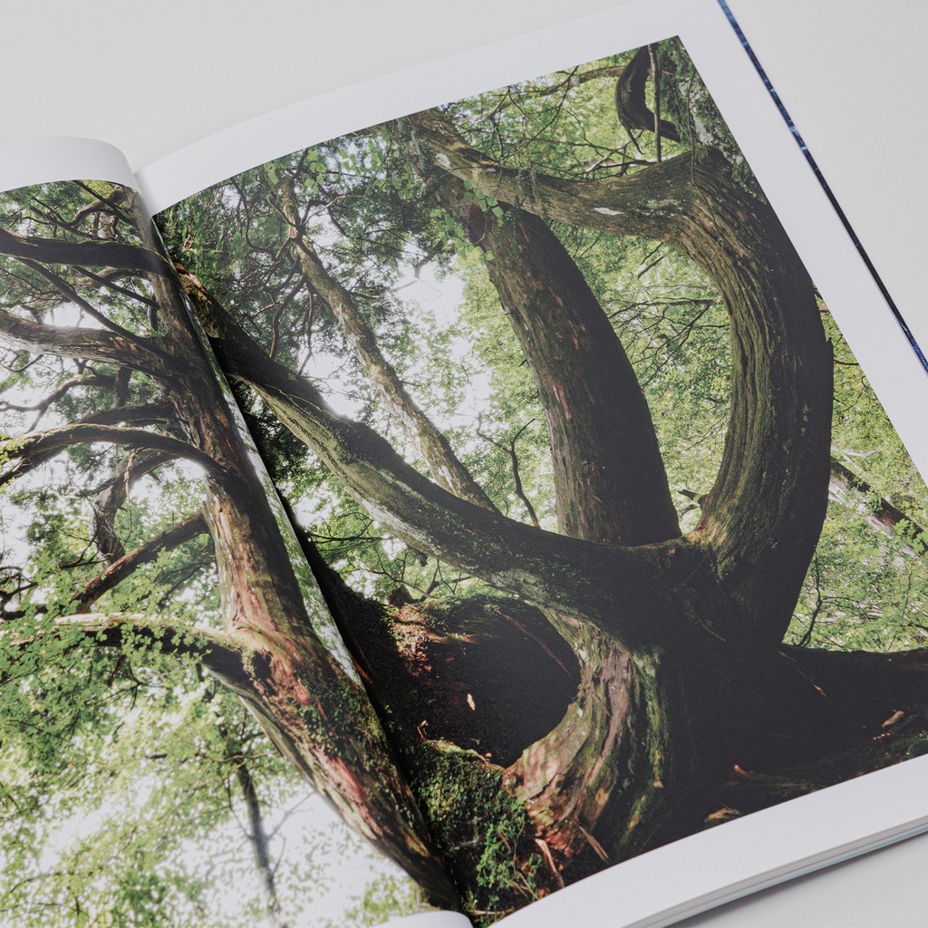 写真集「into the forest : kuishi」