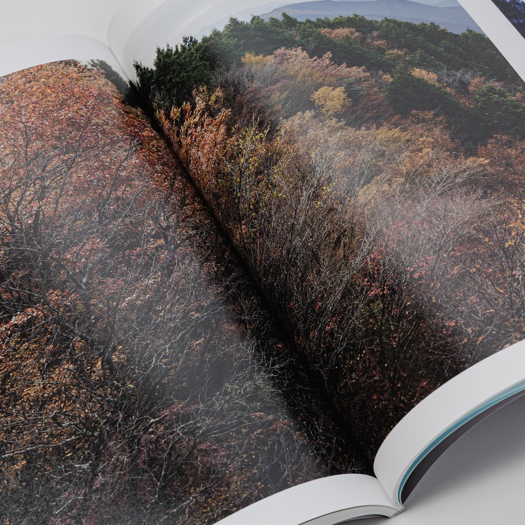 写真集「into the forest : kuishi」