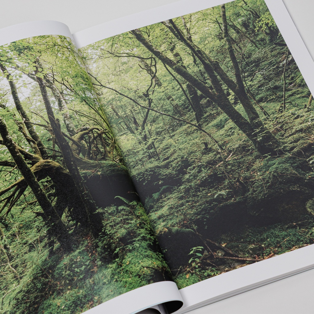 写真集「into the forest : kuishi」