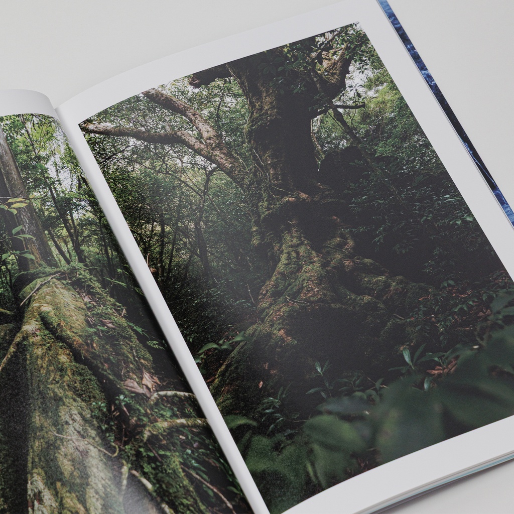 写真集「into the forest : kuishi」