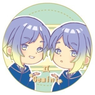 ☆12星座シール☆ふたご座