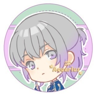 ☆12星座シール☆みずがめ座