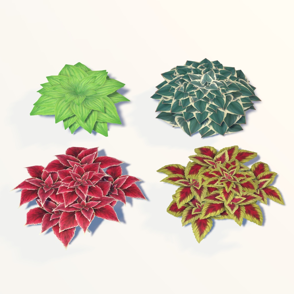 雑に使えるプランターセット