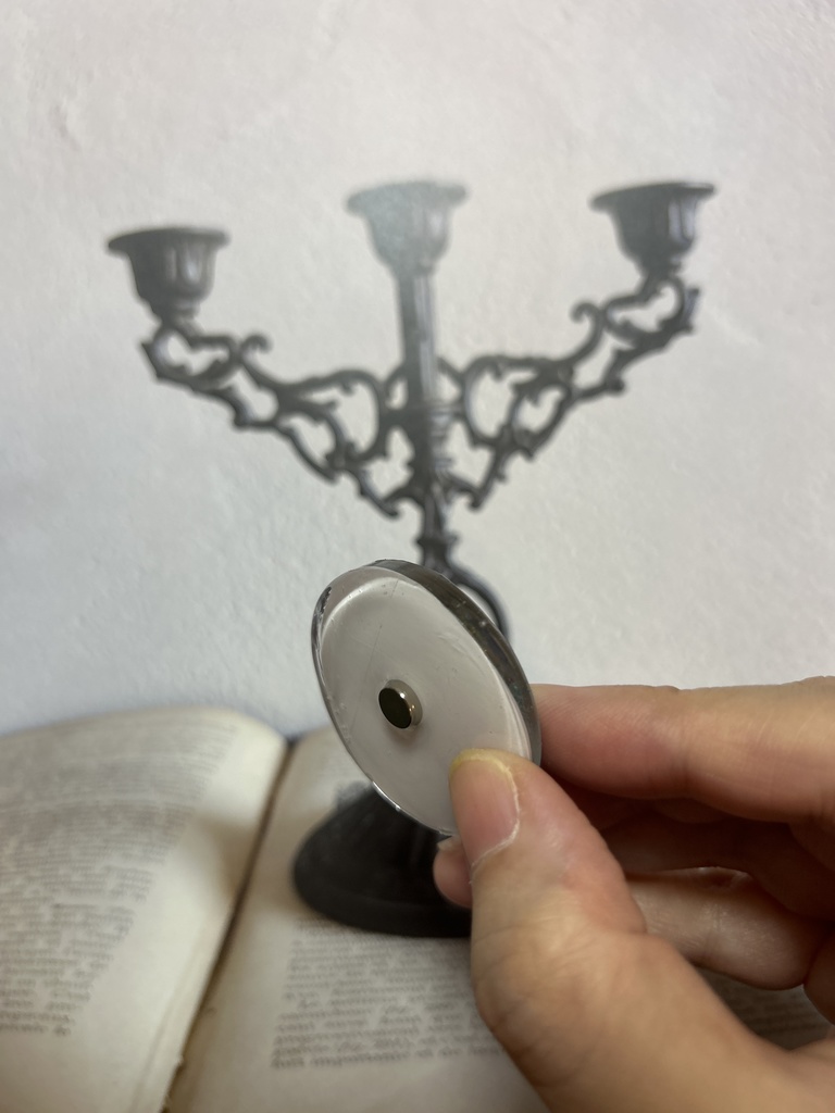 イラスト入りマグネット リュゼさま