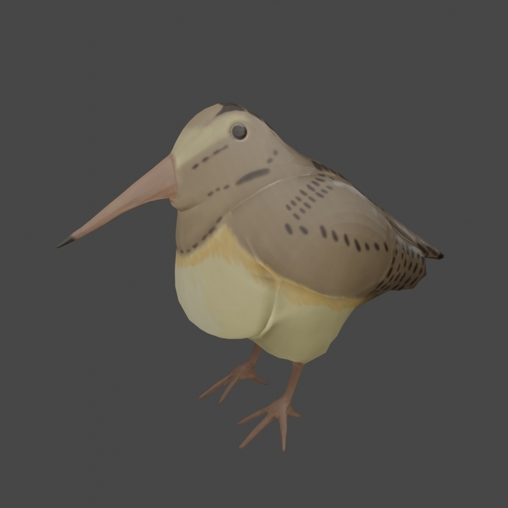 ヤマシギモデル【Woodcock model】