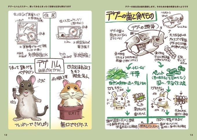 デグーはじめました