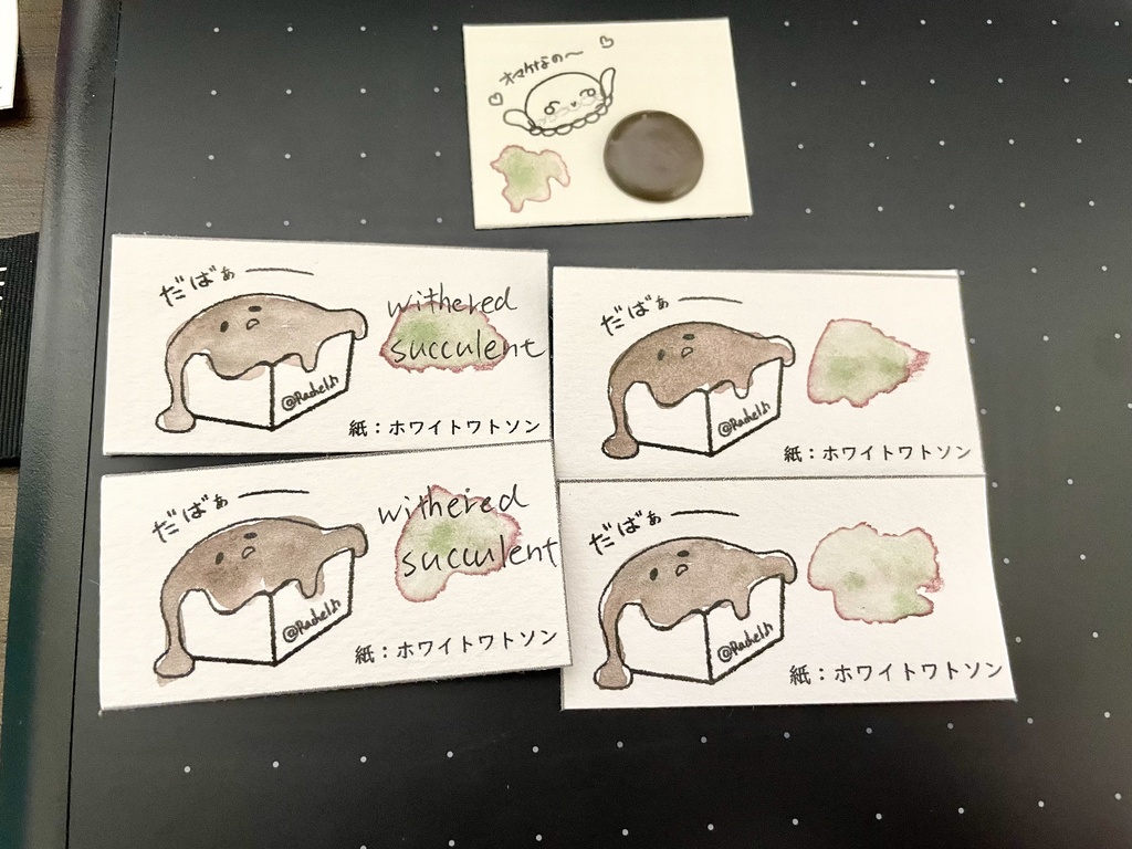 【SOLD OUT】withered succlent
