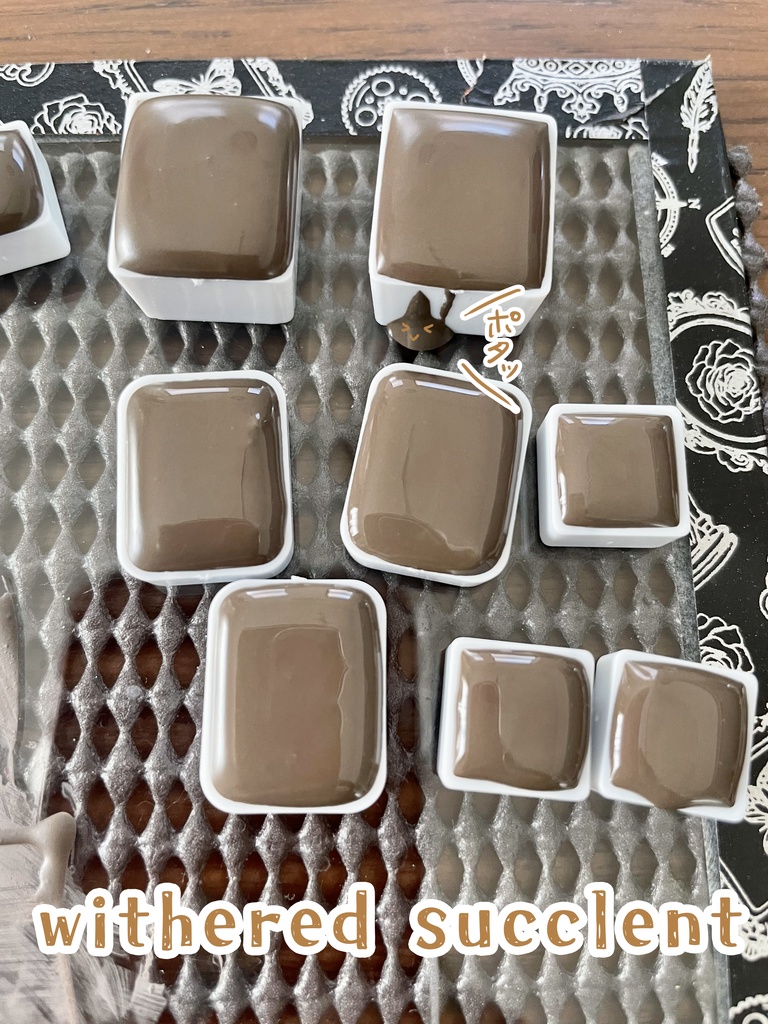 【SOLD OUT】withered succlent