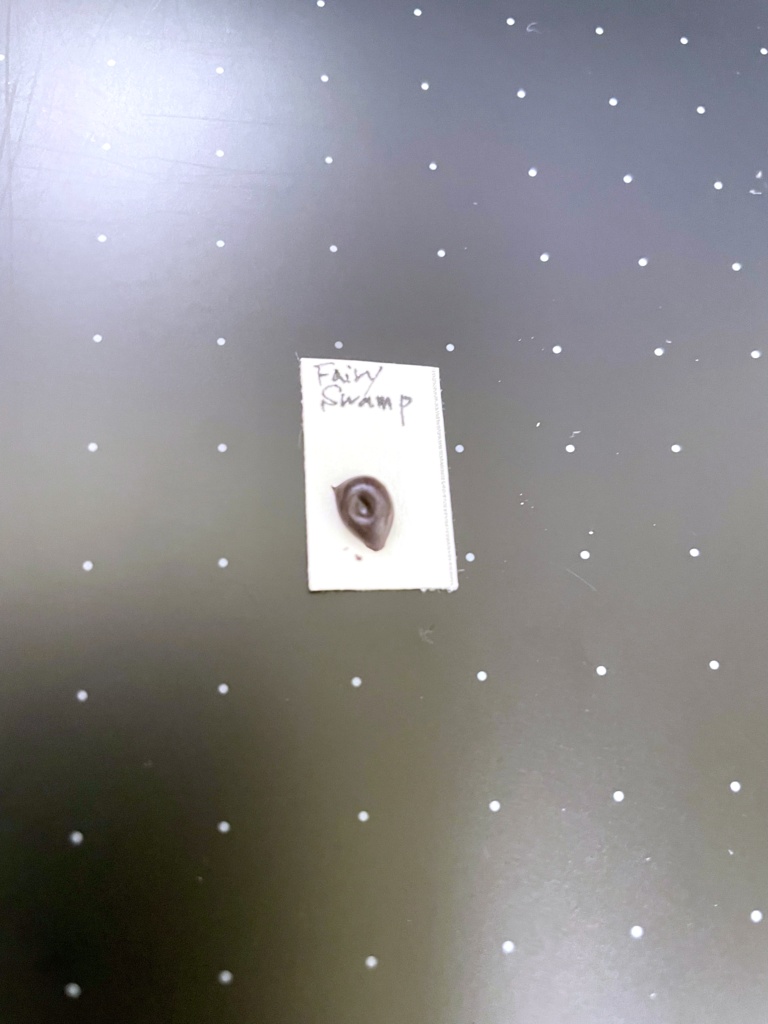 【SOLD OUT】Fairy Swamp