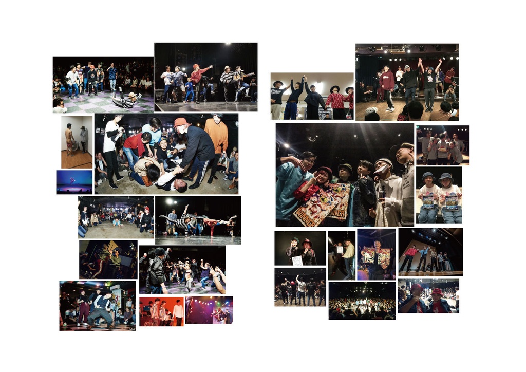 パブリックエネミー アルティマニア