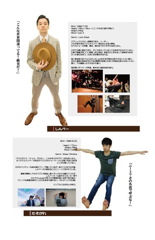 パブリックエネミー アルティマニア