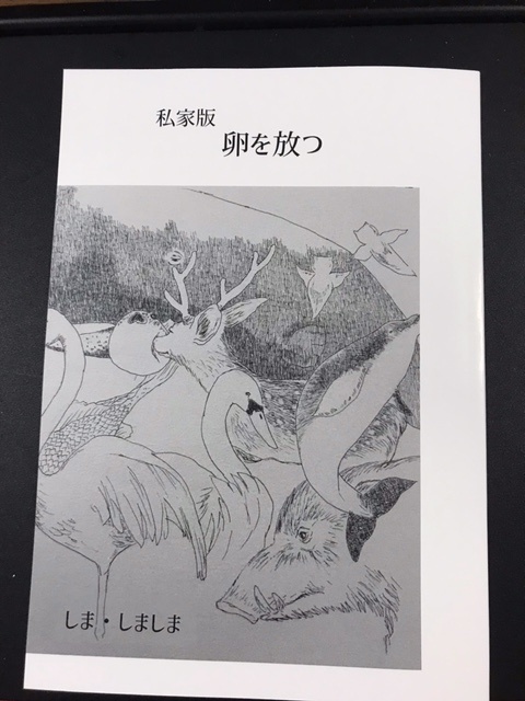 私家版歌集　卵を放つ