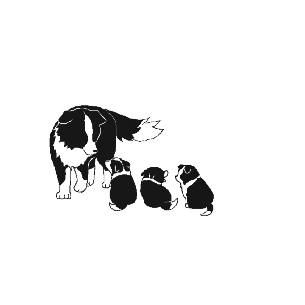 ボーダーコリー　ICカードステッカー