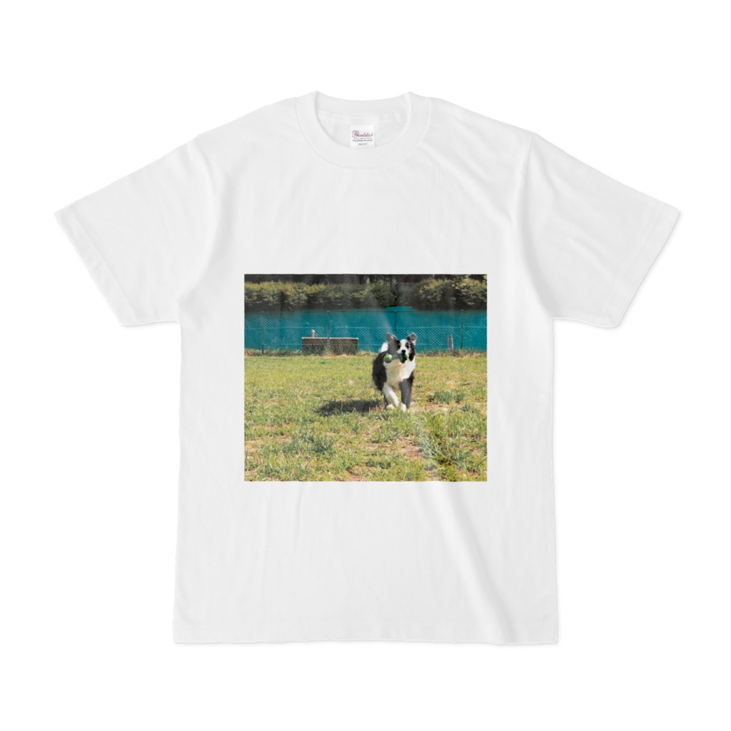ボーダーコリー 持って来いTシャツ