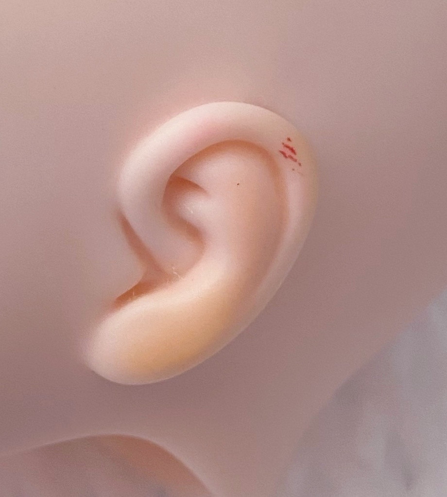 【DDH-27 SW】カスタムヘッド【ソフビ盛・難有】