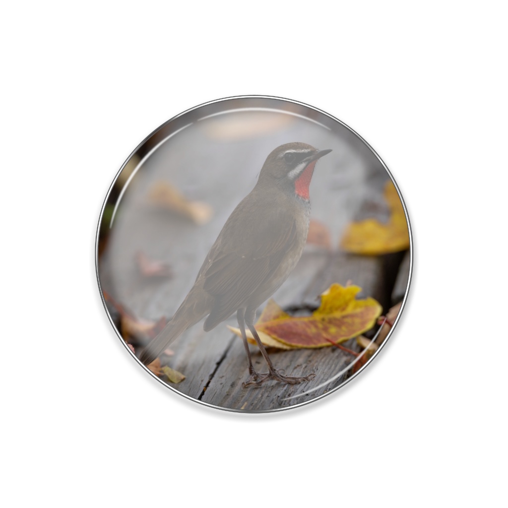 もくどうノゴマ