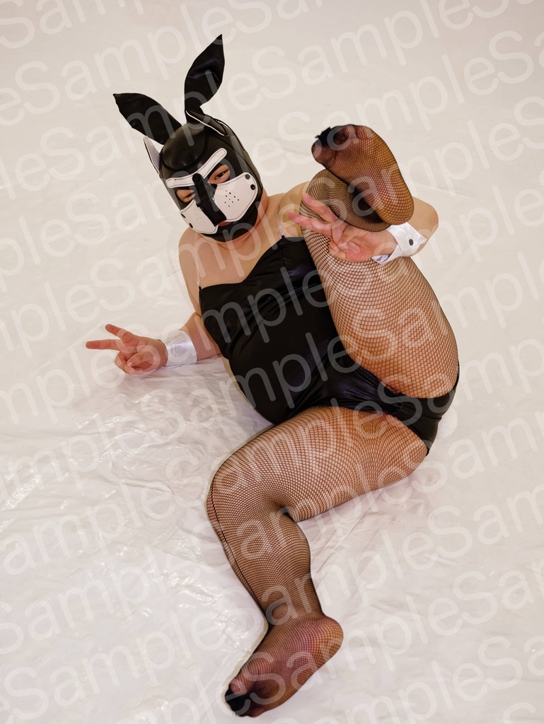 むちむち女装バニー資料集