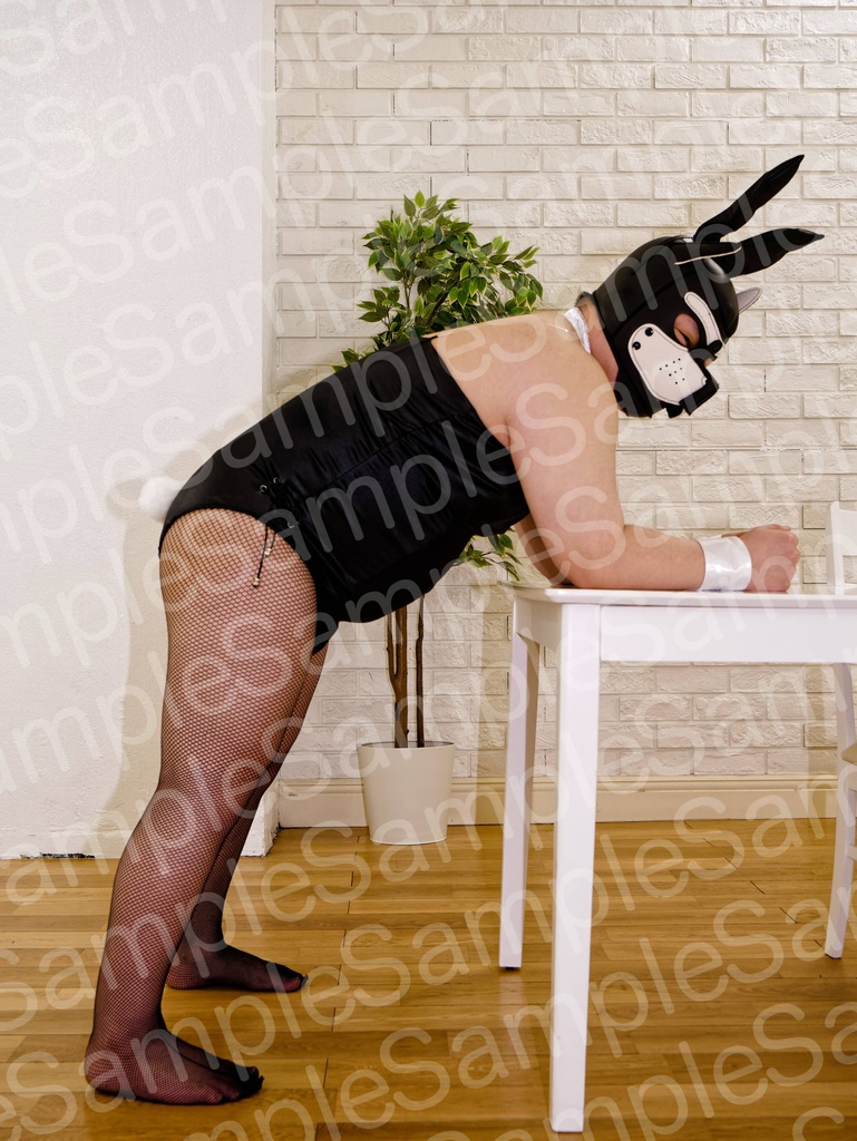 むちむち女装バニー資料集