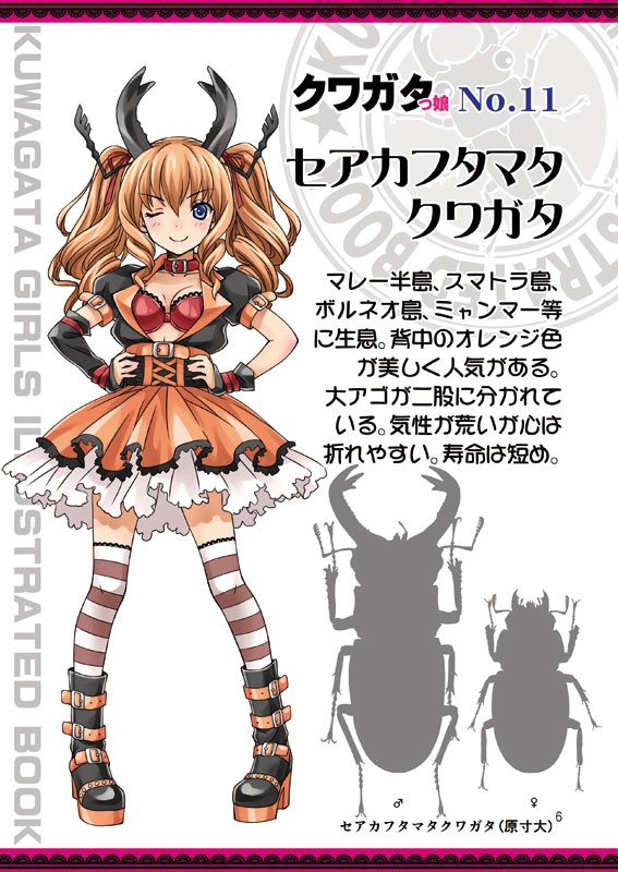 【DL版】クワガタっ娘図鑑NEO