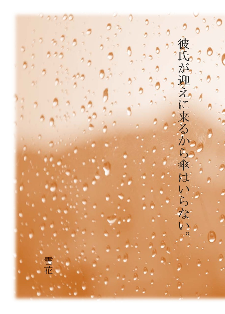 彼氏が迎えに来るから傘はいらない。(匿名配送)