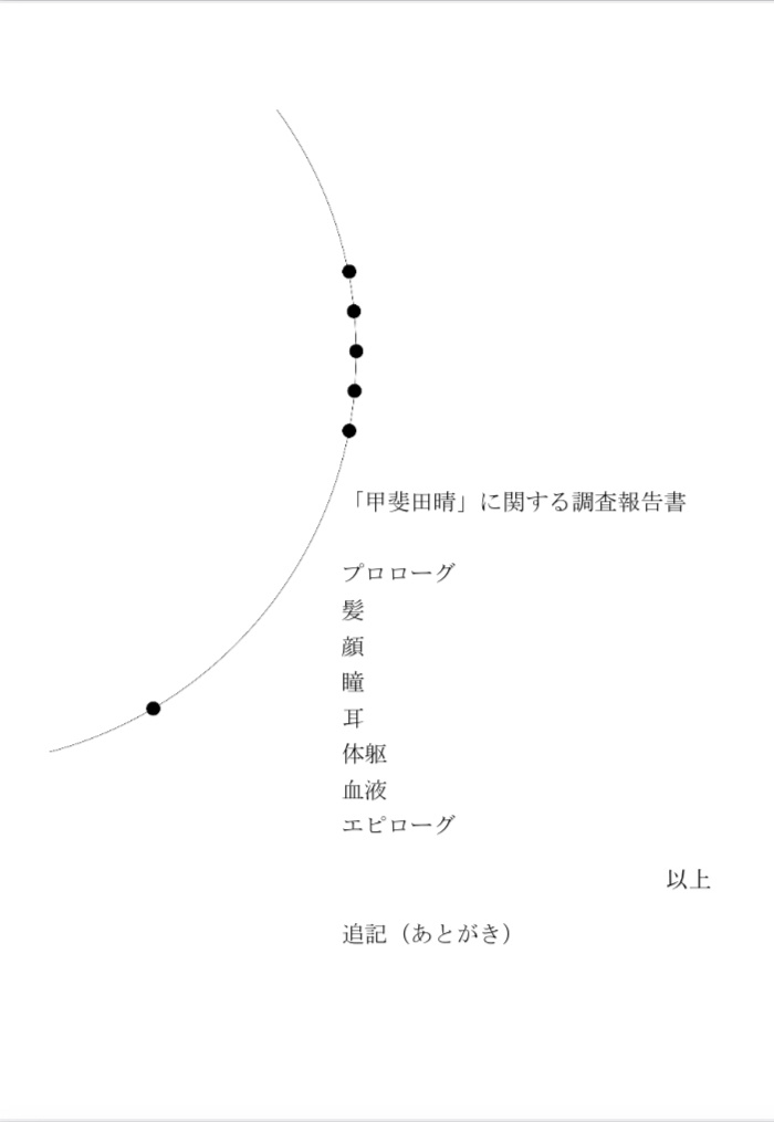 甲斐田晴
