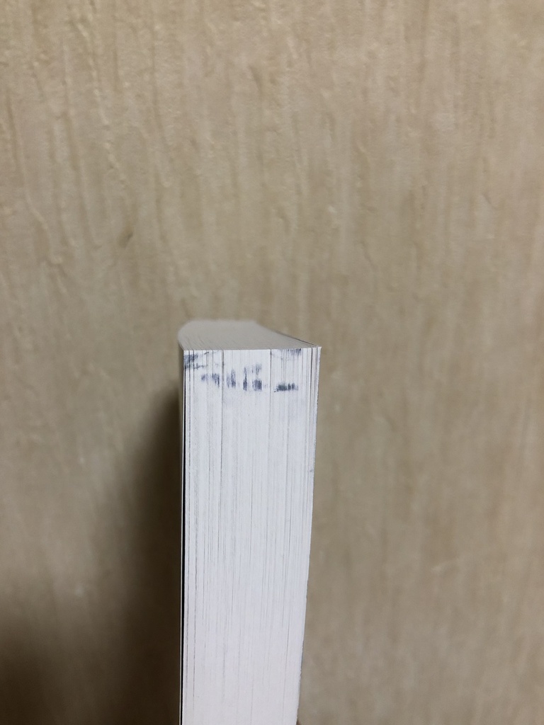 晩夏 落丁版【紹介文をお読みください】