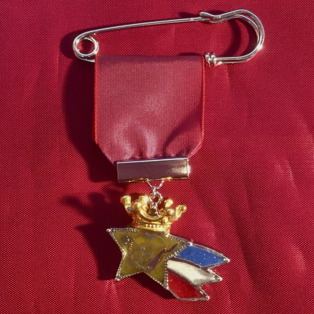 Starscream brooch 2