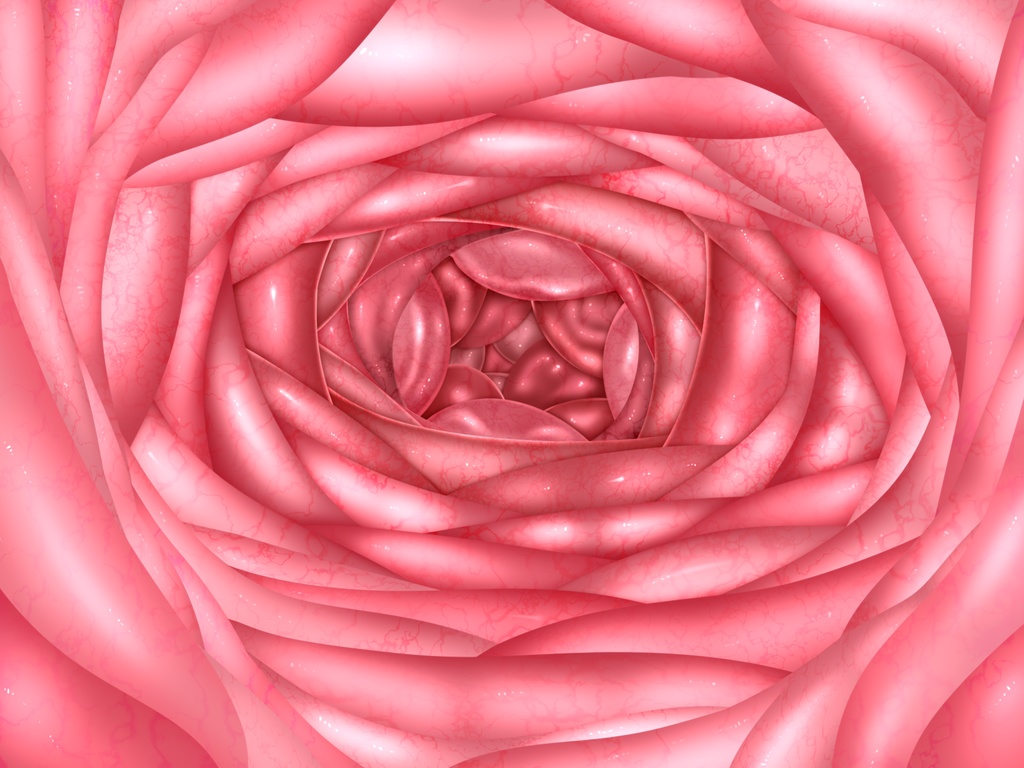 歩くフルグラ肉壁Tシャツ