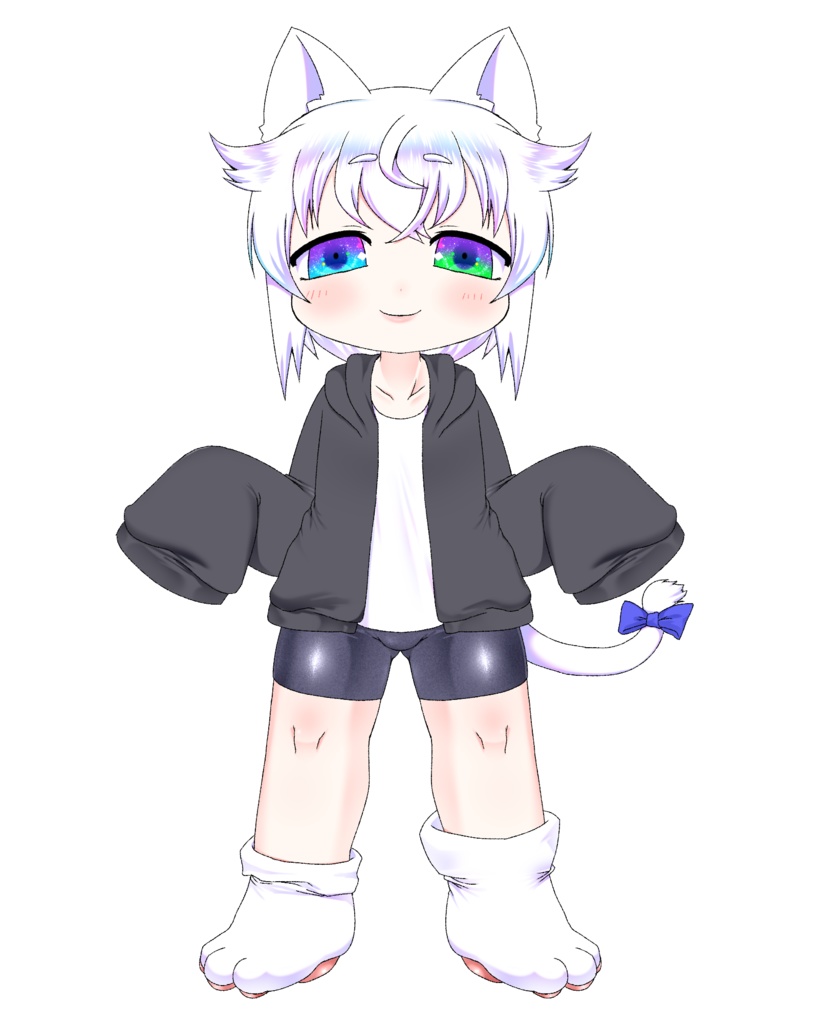 Vtubestudio用Live2Dモデル猫垣さん