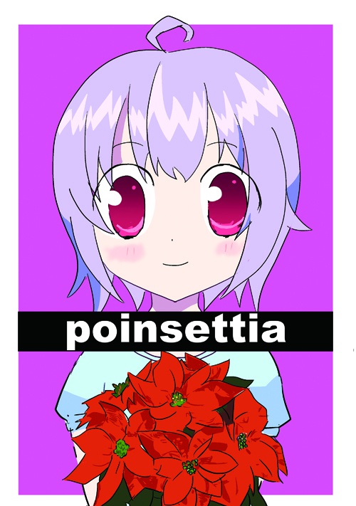poinsettia