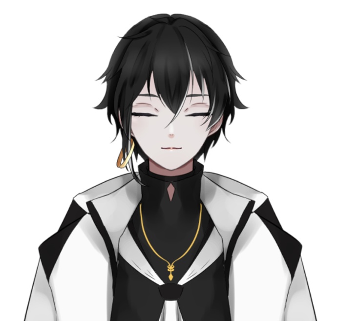 SIROKURO VTUBER (VTS/LIVE2D)