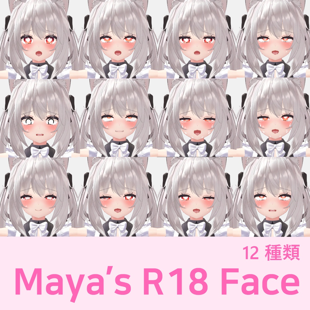 Maya's R18 Face Animation 12種類