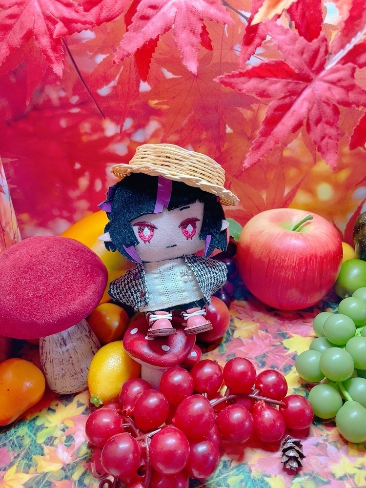 カンカン帽 10cmぬい用